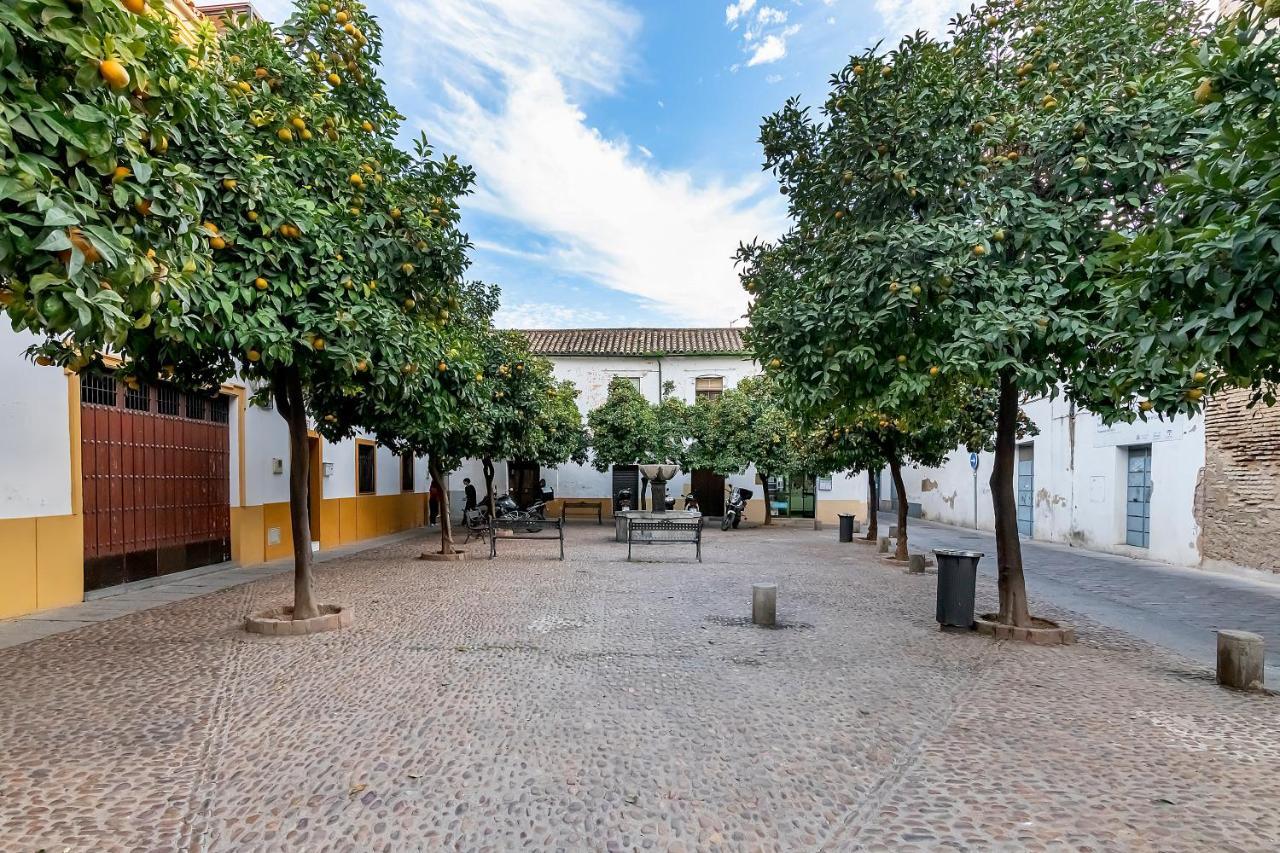 Bhost - Regina V Lägenhet Córdoba Exteriör bild
